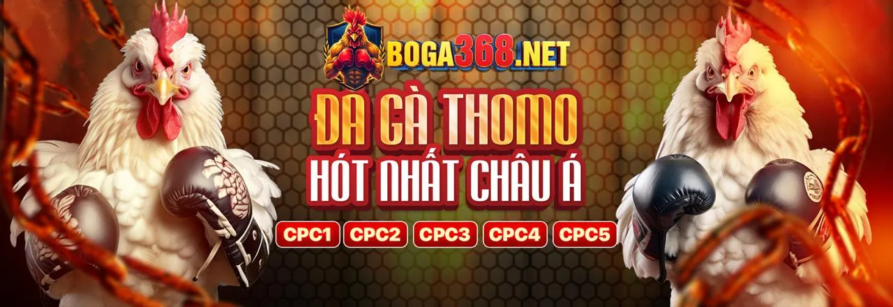Hướng dẫn chơi tài xỉu trực tuyến tại tỷ lệ bóng đá 88