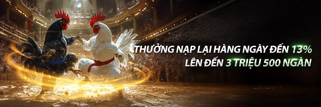 Đá gà trực tiếp hôm nay tại tỷ lệ bóng đá 88